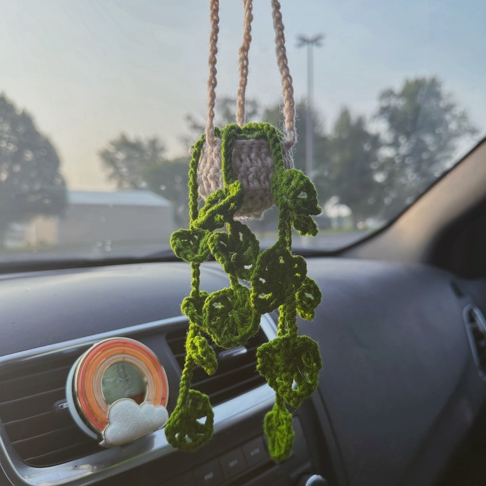 Crocheted Plant basket